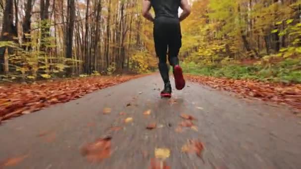 Disparar a las piernas de un atleta en carrera. Entrenamiento en ejecución en bosque de otoño. Disparando desde abajo y desde atrás. 4K - Metraje, vídeo