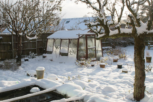 Χειμερινό τοπίο Χιόνι σκηνή του θερμοκηπίου γυαλί σε οργανικό αγγλικό κήπο με φυτά και δέντρα μετά από χιονόπτωση με λευκό στρώμα πάνω από τα πάντα, συμπεριλαμβανομένων γκαζόν και θάμνους και φράχτη στο παρασκήνιο για κατάψυξη παγωμένη ημέρα καιρός - Φωτογραφία, εικόνα
