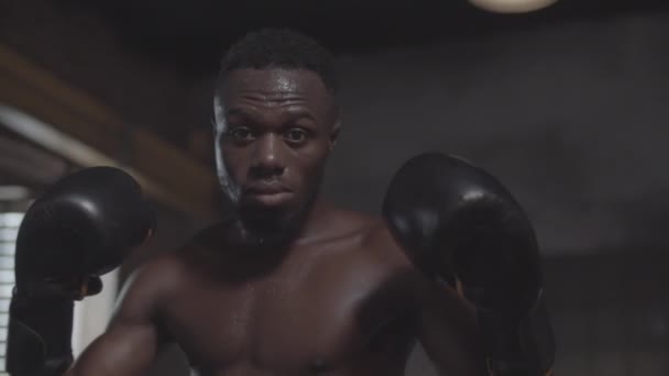 Közelkép egy fiatal afro-amerikai férfi amatőr bokszolóról, aki a sötét harcosok klubjában pózol, kezeit bokszkesztyűben tartja, és izzadtan nézi a kamerát az arcán. - Felvétel, videó