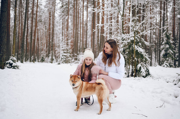 Feliz familia joven madre y niña linda en rosa cálido outwear caminar divirtiéndose con rojo shiba inu perro en nieve blanco frío bosque de invierno al aire libre. Deportes de familia actividades de vacaciones. - Foto, imagen