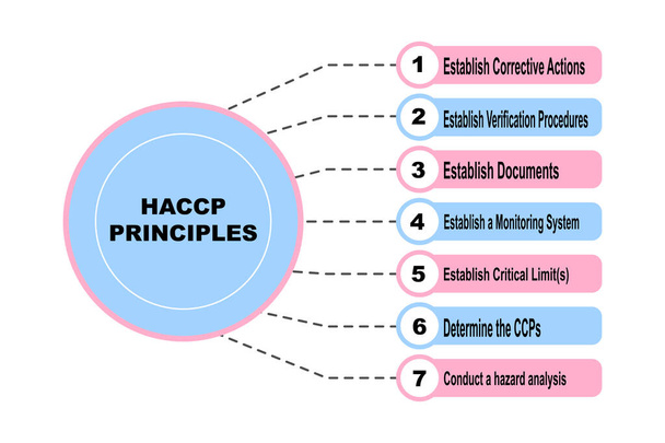 Concept de diagramme avec les principes HACCP texte et mots clés. EPS 10 isolé sur fond blanc - Vecteur, image