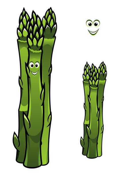 Bouquet de lances d'asperges vertes fraîches
 - Vecteur, image