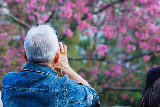 Az öreg egyedül utazott, élvezte a reggelt a gyönyörű cseresznyevirágzó kertben. Az öregember hátulja mobiltelefonos kamerával gyönyörű képet készít cseresznyevirágzásról.. - Fotó, kép