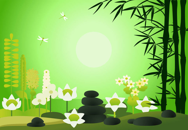 Fondo verde con estanque, flores y plantas acuáticas, libélulas, bambú, piedras de masaje - Vector, Imagen