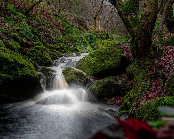 Río bosque con cascada en Wicklow moutains, Irlanda. - Foto, Imagen