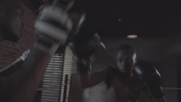 Střední ruční záběr profesionálního mladého afrického boxera v rukavicích a trenéra s boxerskými rukavicemi trénink v boxerském ringu, úder silnými údery a háky, uhýbání, a trenér smích - Záběry, video