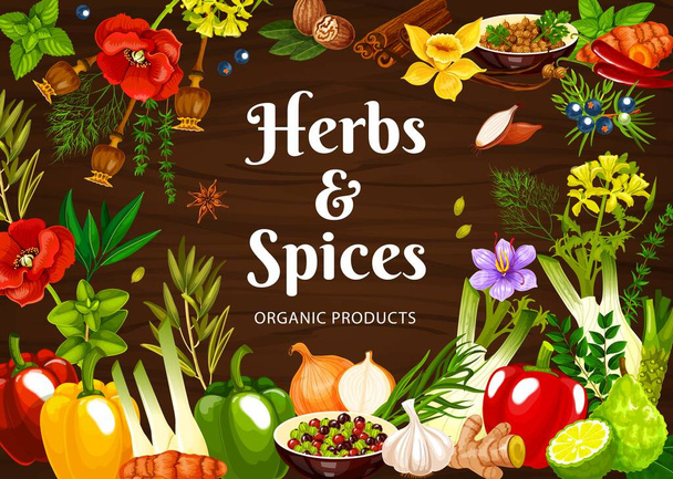 Herbs and spices vector poster with mint, poppy and dill, nutmeg, mustard and vanilla, shallots, ginger and chili with juniper berry. Coriander, saffron and fennel with curry leaves, lime and paprica - Vector, Image