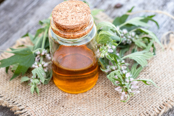 Leonurus cardiaca, motherwort, throw-wort, lion's ear, lion's tail Medicinal Herb Plant with Distilled Essential Oil Extract and Infusion in a Glass Jug. Also Equisetum Arvense. - Photo, Image