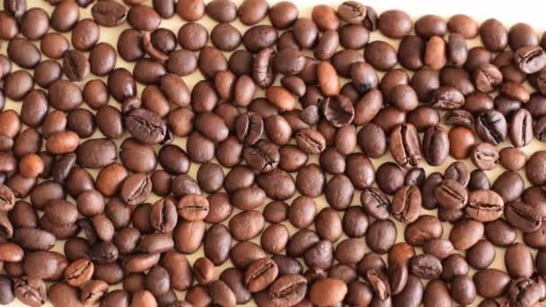 Close up view of toasted coffee beans  - Záběry, video