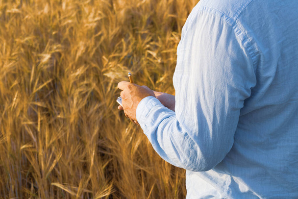 um homem no campo escreve sobre como as plantas de cereais crescem. análise do rendimento e doenças das plantas - Foto, Imagem