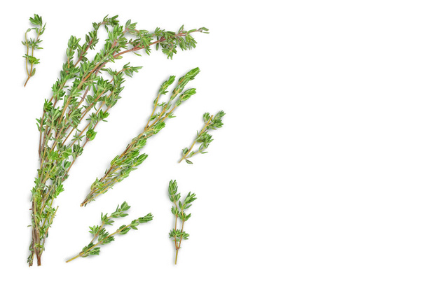 fresh thyme isolated on a white background with clipping path and full depth of field, Top view with copy space for your text. Flat lay - Photo, Image