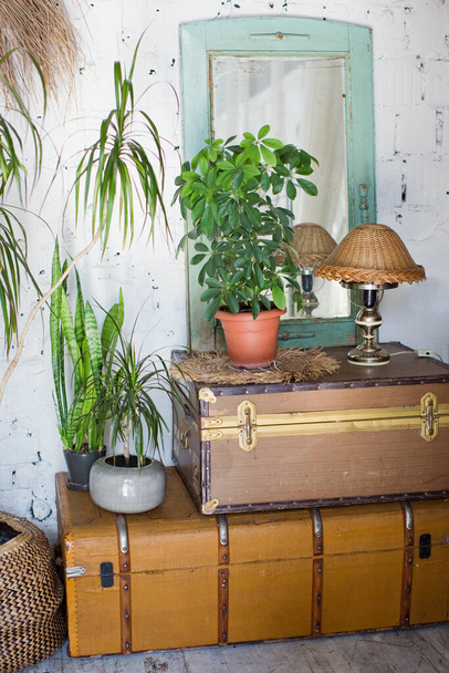 Vintage matkalaukku, lamppu, peili ja vihreät kukat ruukuissa Boho sisustus - Valokuva, kuva