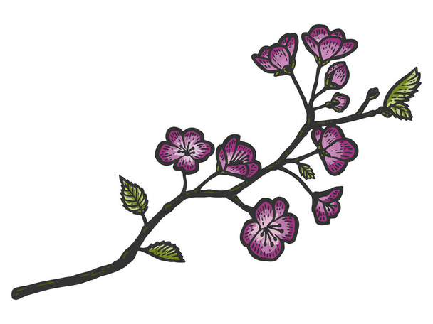 Una rama de flores de cerezo. Boceto imitación tablero de rasca. - Vector, imagen