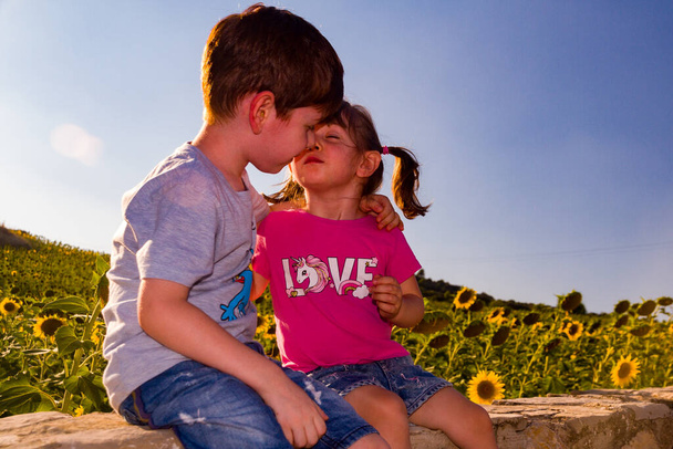 Un ragazzo carino e una bambina che si baciano davanti a un campo di girasoli in una giornata di sole - Foto, immagini