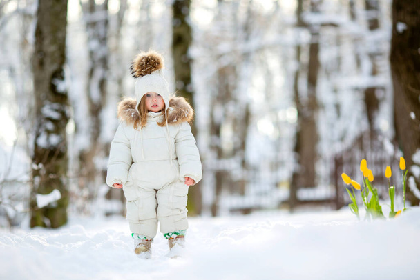 小さな女の子とともに黄色チューリップで雪景色 - 写真・画像