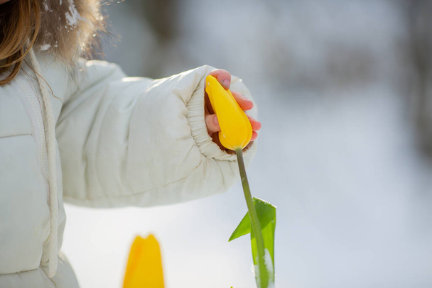 Little girl with yellow tulips in snowy scene - Photo, Image