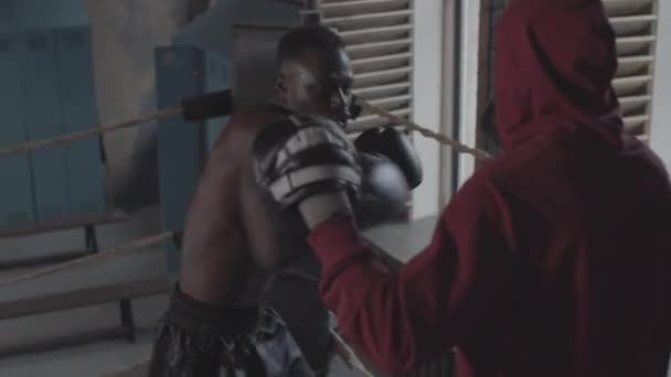 Снимок атлетичного афроамериканского боксера с обнаженной грудью, в перчатках, практикующего перекрестные удары в боксёрском ринге, и тренера в толстовке с капюшоном, держащего фокус-перчатки - Кадры, видео
