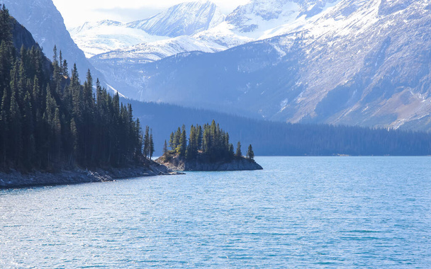 хвойные деревья на небольшом острове в нижней части озера Кананаскис в Альберте, Канада. - Фото, изображение