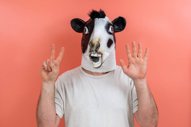 persoon vermomd als een koe tellen van de nummer zeven op zijn vingers op roze achtergrond - Foto, afbeelding
