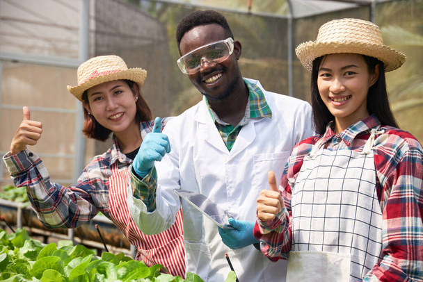 Viele Bauern freuen sich und lächeln über die Pflege der wachsenden Bio-Gemüsebeete. Schwarze Männer und asiatische Frauen schauen und sind stolz auf das Produkt im Gemüsebeet. - Foto, Bild
