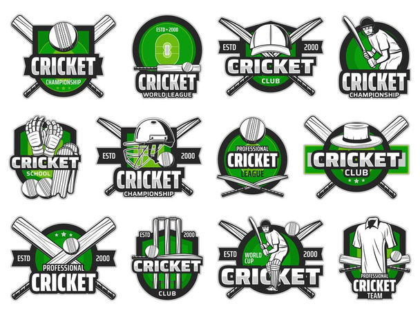 Kriket topu, sopa ve takım oyuncusu ikonları. Kriket sahası kale, vurucu eldiveni, kask ve bacak pedleri, şapka, forma ve şapka, şampiyonluk maçı tasarımı - Vektör, Görsel