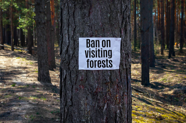 Znak ostrzegawczy umieszczony na drzewie w lasie- zakaz wizyt w lasach - Zdjęcie, obraz