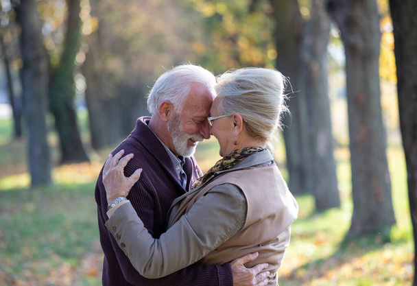 Senior couple standing in hug in forest in autumn time - Photo, Image