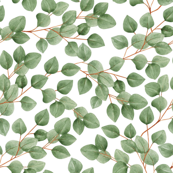 Aquarelle motif sans couture avec des branches d'eucalyptus sur un fond blanc. Feuillage, verdure, feuilles d'eucalyptus. Pour textiles, papier peint, invitations, salutations. - Photo, image