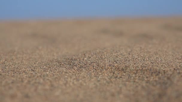 Αμμοθύελλα στην επιφάνεια της άμμου στην έρημο Barren άγονη άγονη ξερή λιποτάκτη ξηρή ξηρασία αφυδατωμένη υδατική στέπα απέραντη απεραντοσύνη άπνοια άνεμος θυελλώδης διάβρωση άνεμοι ατμόσφαιρα ατμόσφαιρα σκηνή γραφική φύση κόκκος θόρυβος - Πλάνα, βίντεο