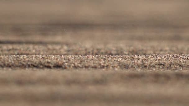 Tempête de sable sur la surface du sable dans le désert.Barren aride infertile xérique désertique sans arbres sécheresse sèche déshydratée steppe sans eau vastextensive illimité immensité vent vent érosion vent ambiance scène nature pittoresque granule bruit - Séquence, vidéo