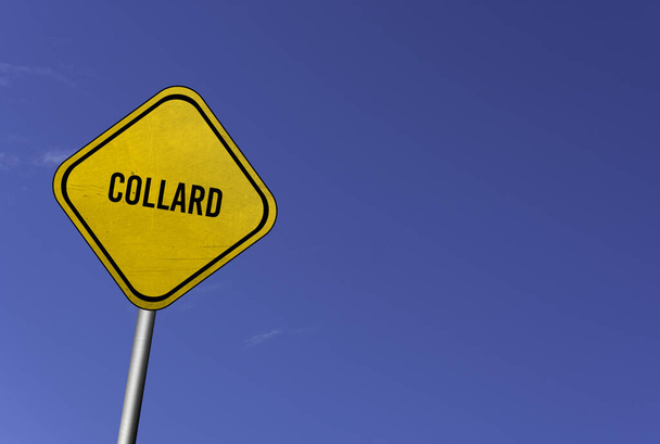 Collard greens - geel bord met blauwe lucht achtergrond - Foto, afbeelding