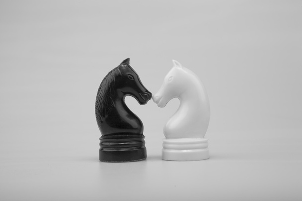 šachový kůň - Fotografie, Obrázek
