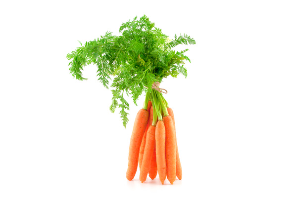 Un mucchio di carote fresche su sfondo bianco
. - Foto, immagini