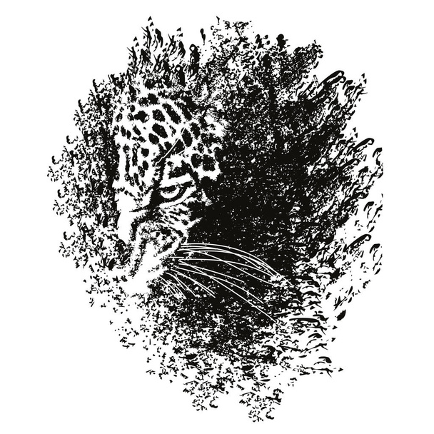 Imagem de uma mancha escura com a cabeça de um leopardo dentro - Vetor, Imagem