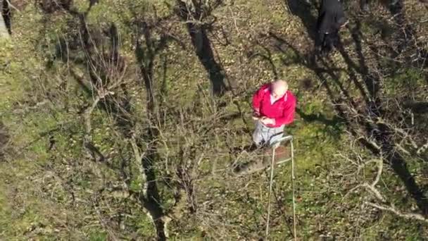 Above top view on seniors, man and woman are pruning branches of fruit trees in orchard using loppers at early springtime. - Filmati, video