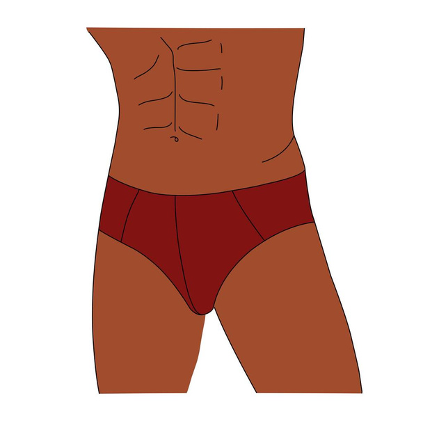 Male torso. A man in swimming trunks or underwear. Beach vacation and body care concept. Men's underwear. - Vector, Image