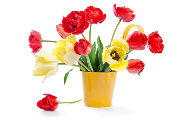 Colorful bouquet tulips  in yellow flowerpot on white background - Fotoğraf, Görsel