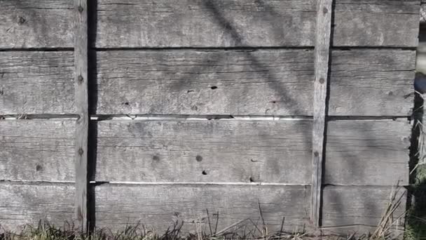 Grijze houten pallet met planken in een zonnige tuin. - Video
