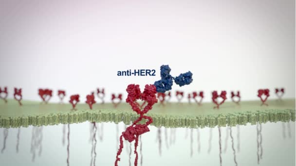 Wizualizacja receptora HER2 / Neu. Futurystyczny interfejs aplikacji medycznych. - Materiał filmowy, wideo
