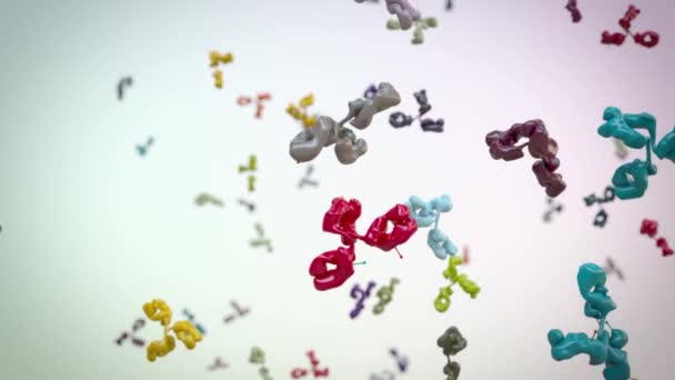 medizinisch korrekte 3D-Animation eines Antikörpers - Filmmaterial, Video