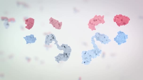 cyclic rotation of antibodies, including the alpha channel. - Materiaali, video