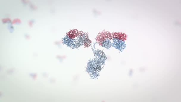 medically accurate 3d animation of an antibody - Materiaali, video