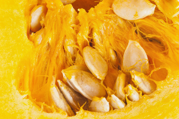 Texture citrouille (fond orange
) - Photo, image