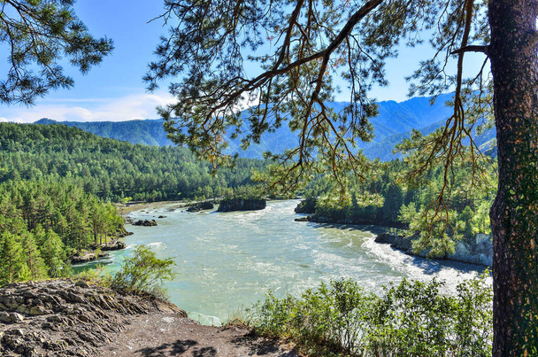 Beautiful sunny summer landscape on place where Chemal River flows into Katun River - two fast mountains rivers with rocky banks coniferous forest covered, Altai mountains, Russia - Photo, Image