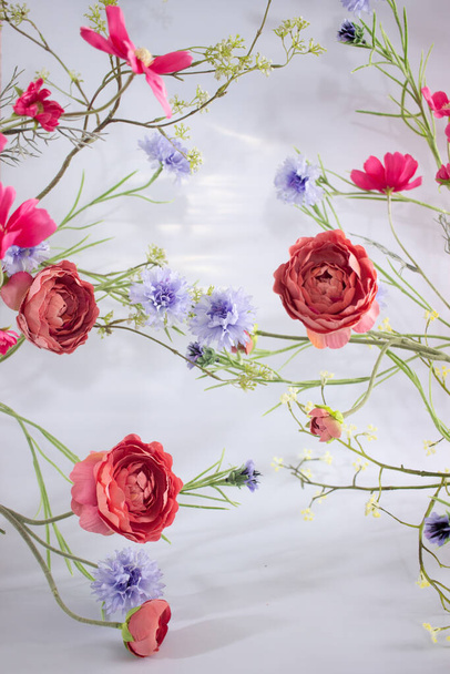 Different flowers on a colored background - Photo, Image
