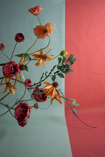 Different flowers on a colored background - Zdjęcie, obraz