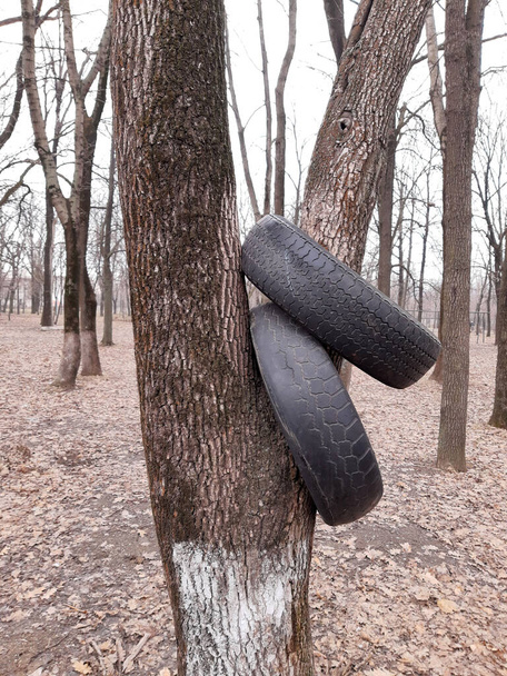 Dvě ojeté pneumatiky jsou oblečené na kmeni stromu v městském parku. - Fotografie, Obrázek