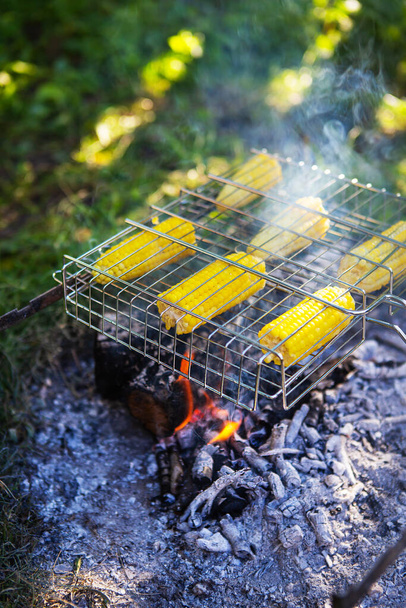 Fried corncobs of yellow juicy corn cooked on a wire rack. Weekend, outdoor recreation. Cooking over an open fire - Photo, Image