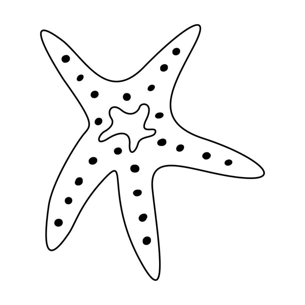 Vector illustration of a starfish. Outline drawing of a starfish in doodle style - Vector, Image