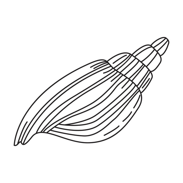 Vector illustration of a sea shell. Contour drawing of a clam shell. Design element - Vector, imagen